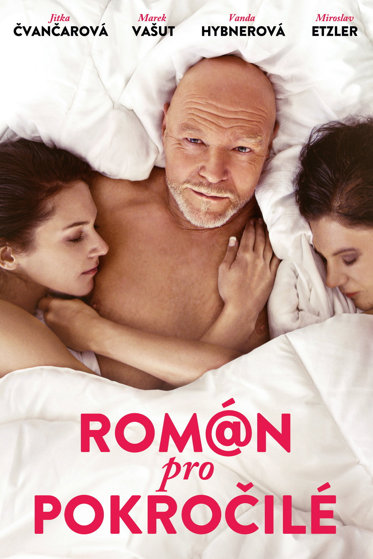 Román pro pokrocilé