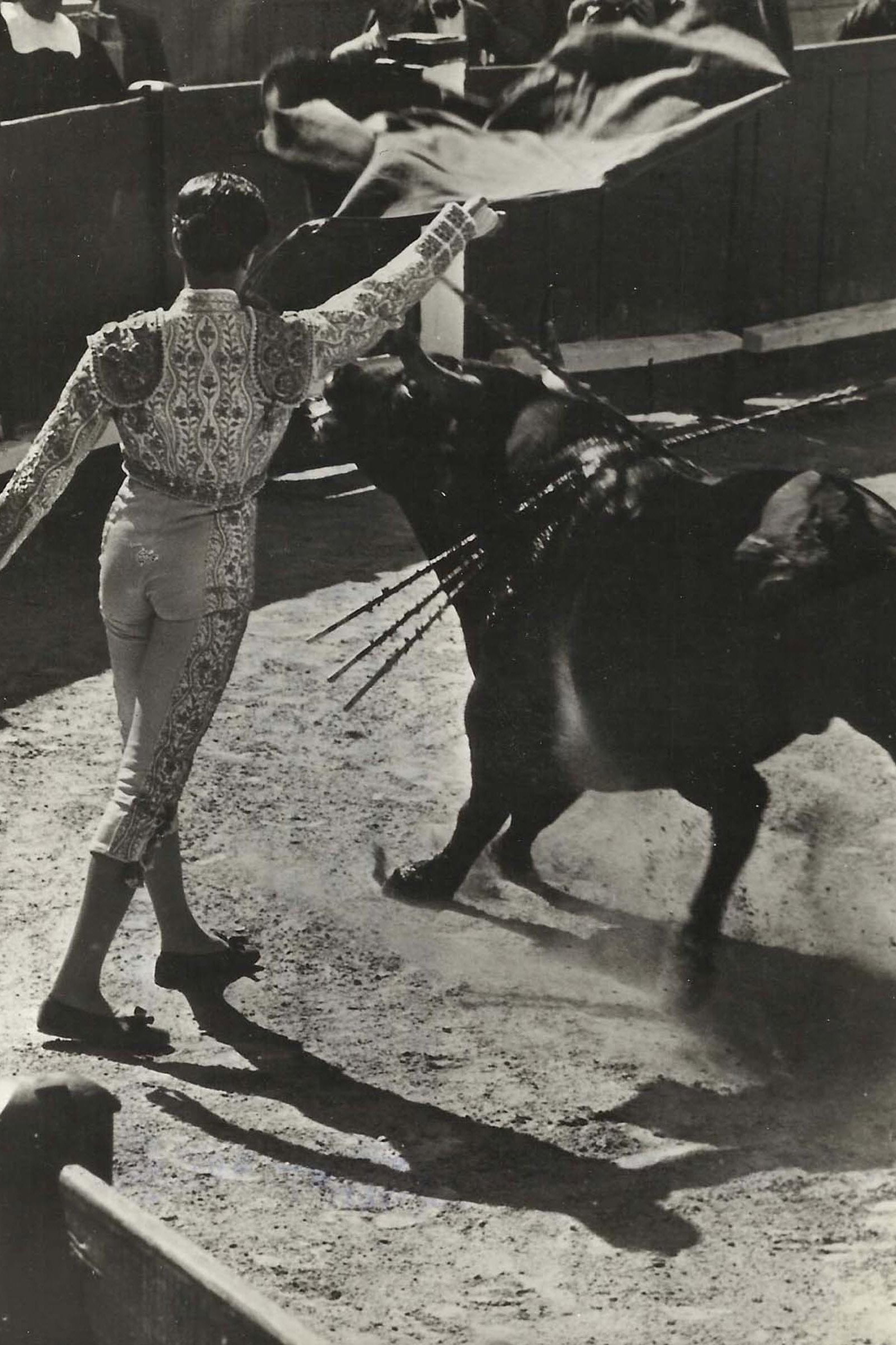Corrida interdite