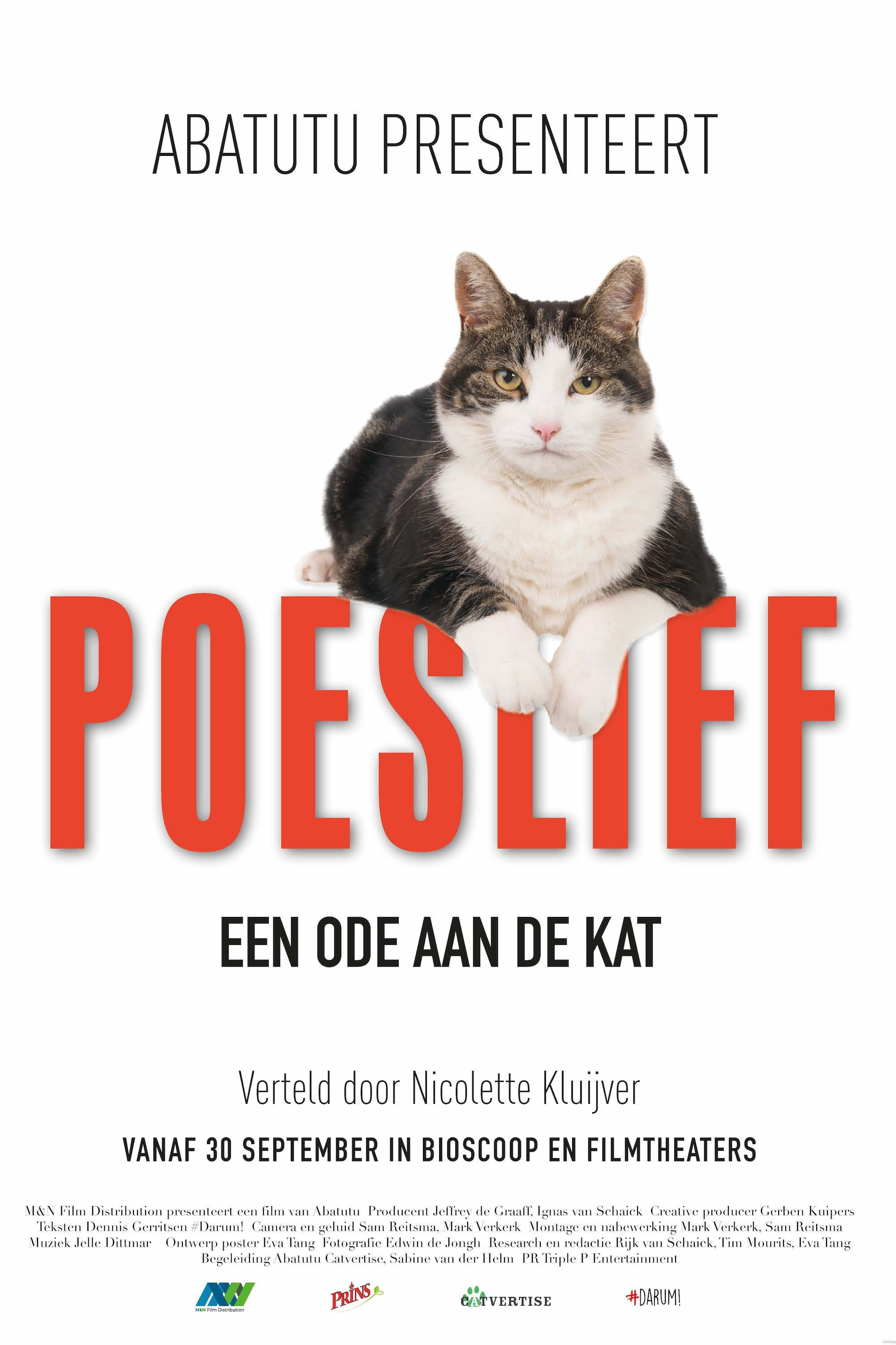 Kitty Love: An Homage to Cats