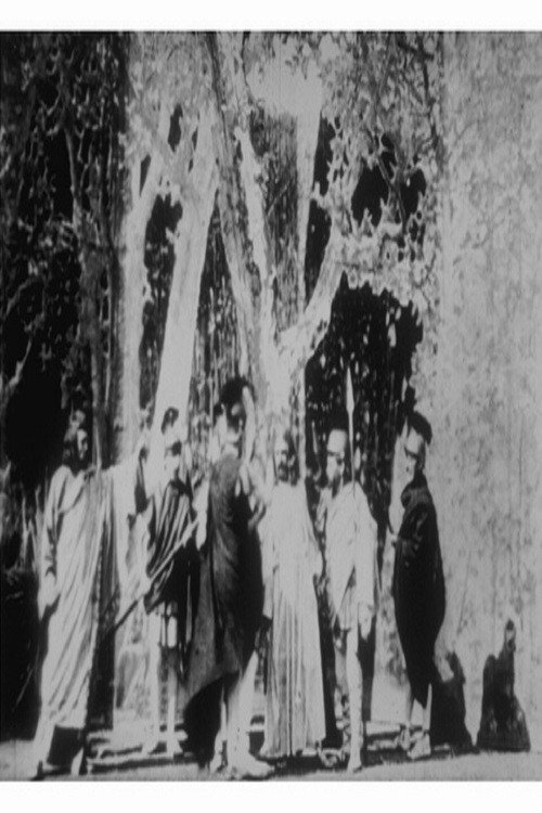 IX. Le couronnement d'épines