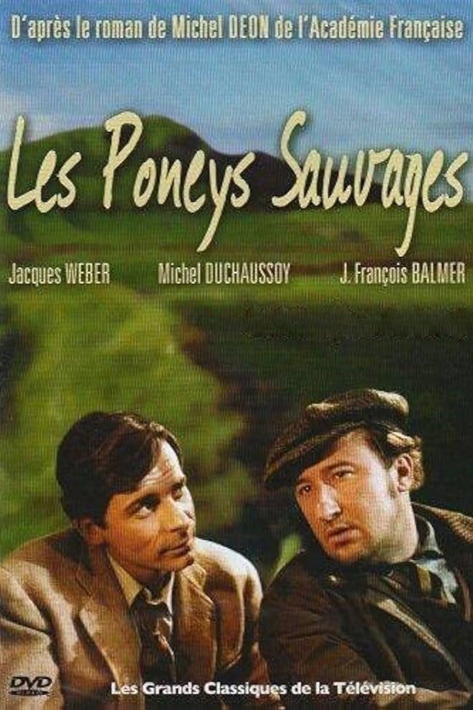 Les poneys sauvages