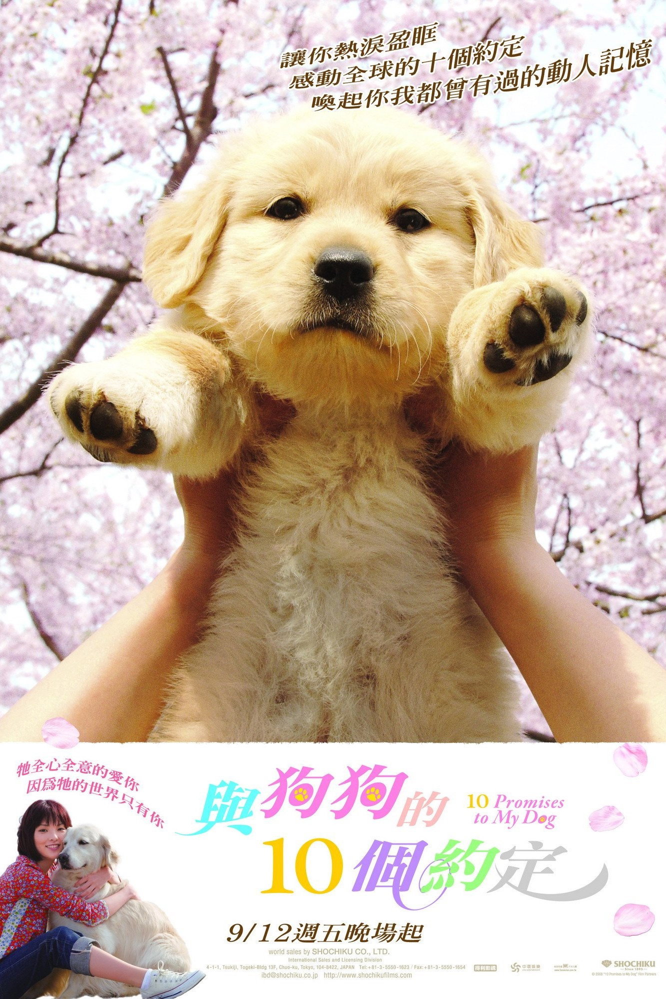 10 Promises to My Dog