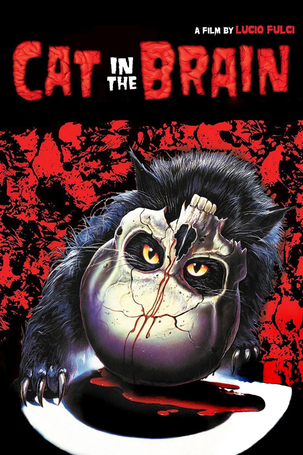 A Cat in the Brain