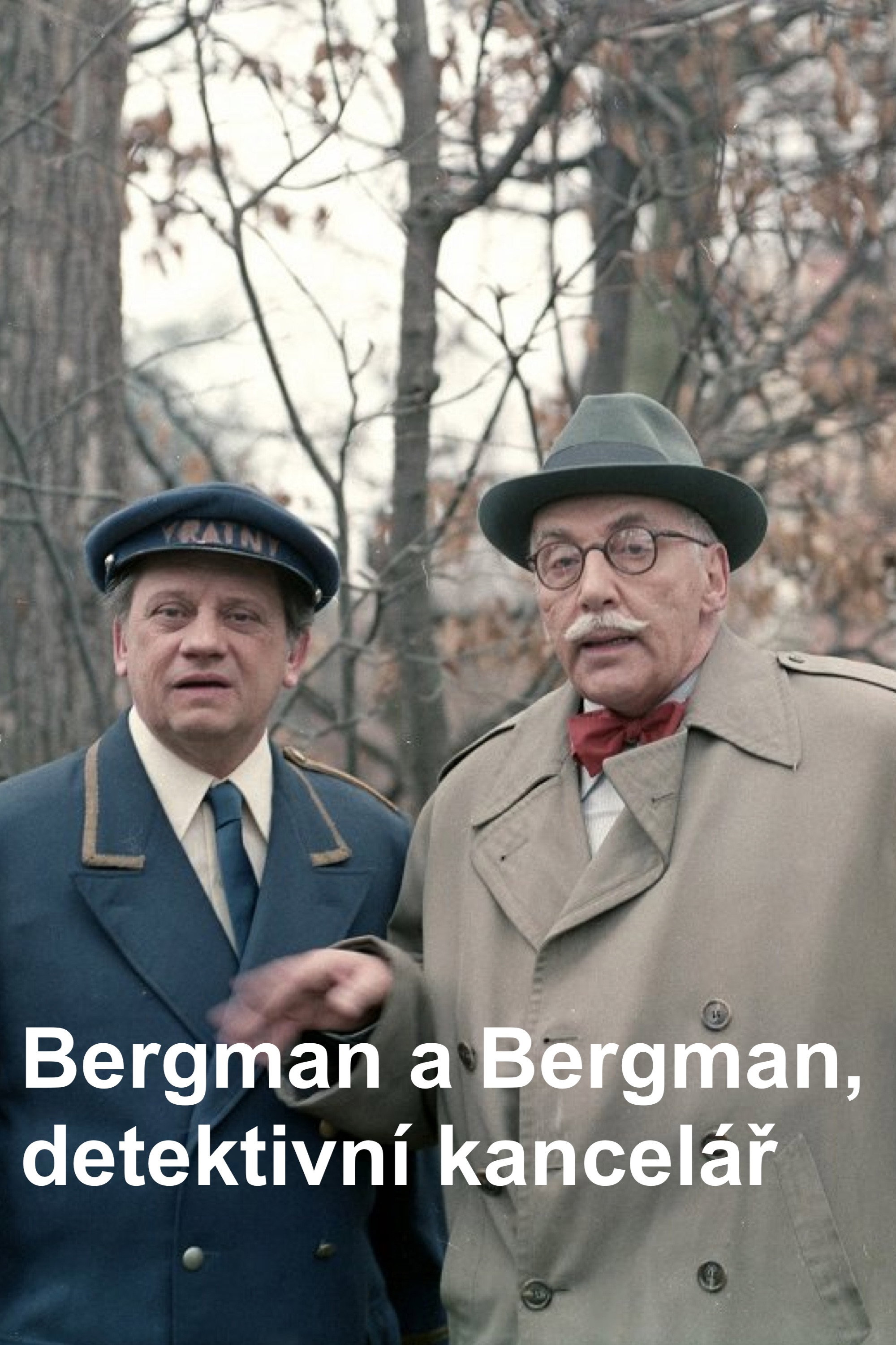 Bergman a Bergman detektivní kancelár