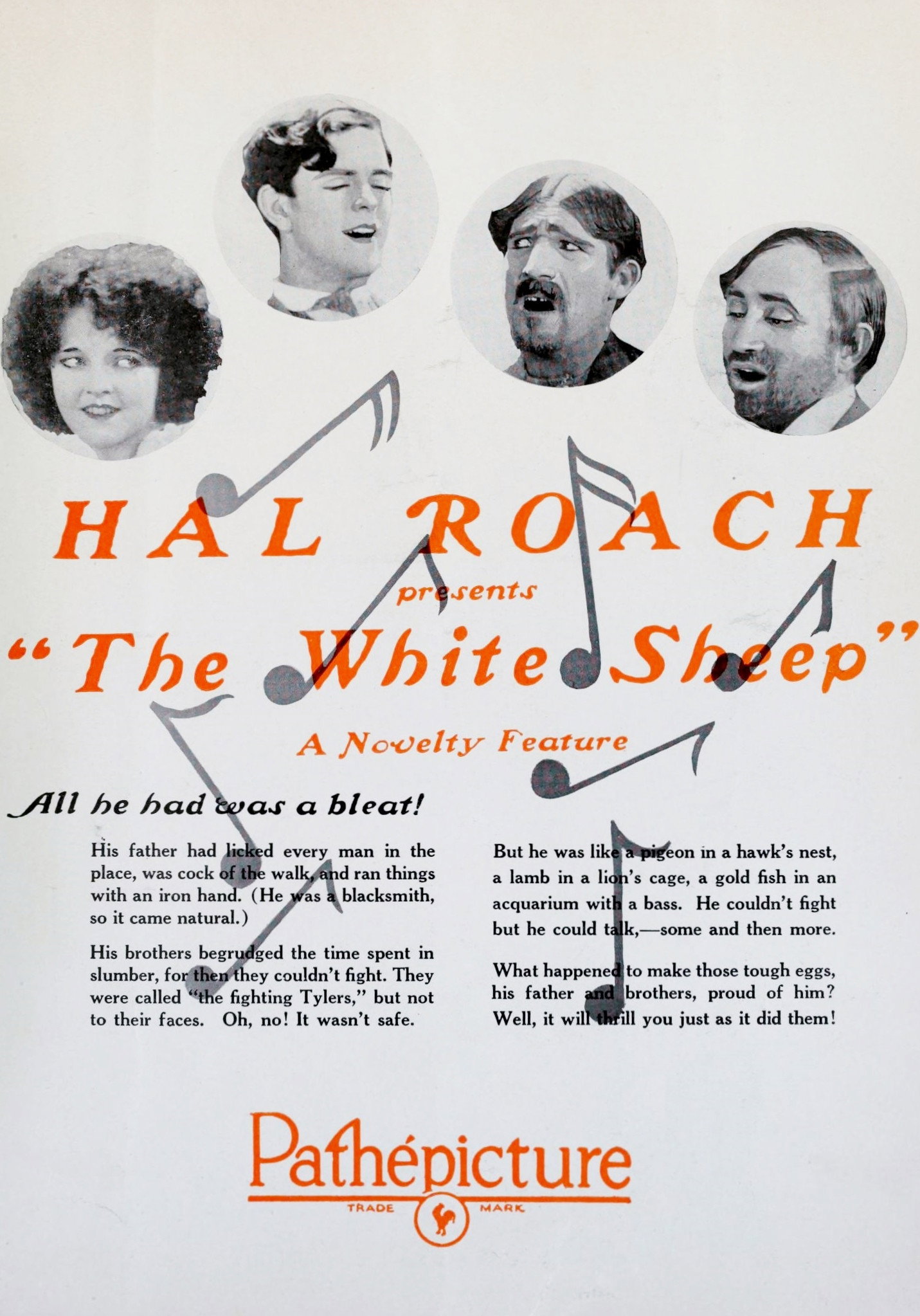 The White Sheep