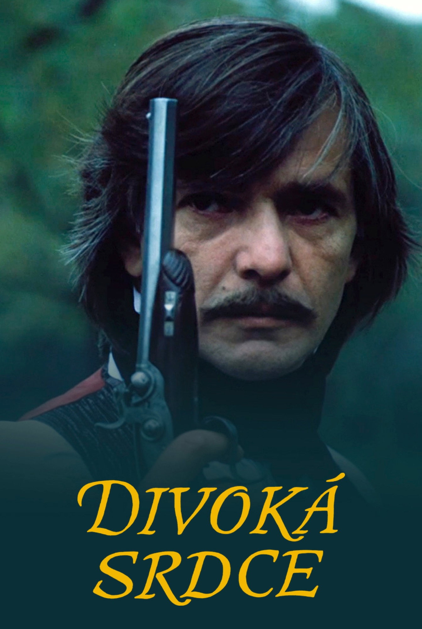 Divoká srdce