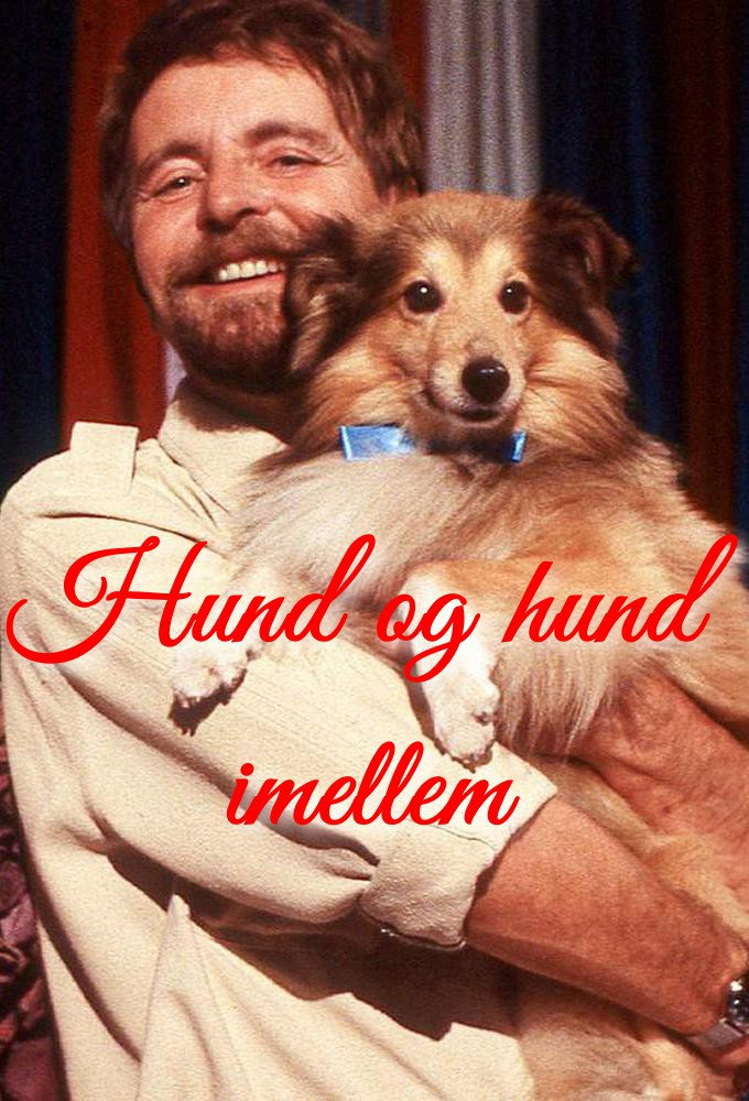 Hund og hund imellem