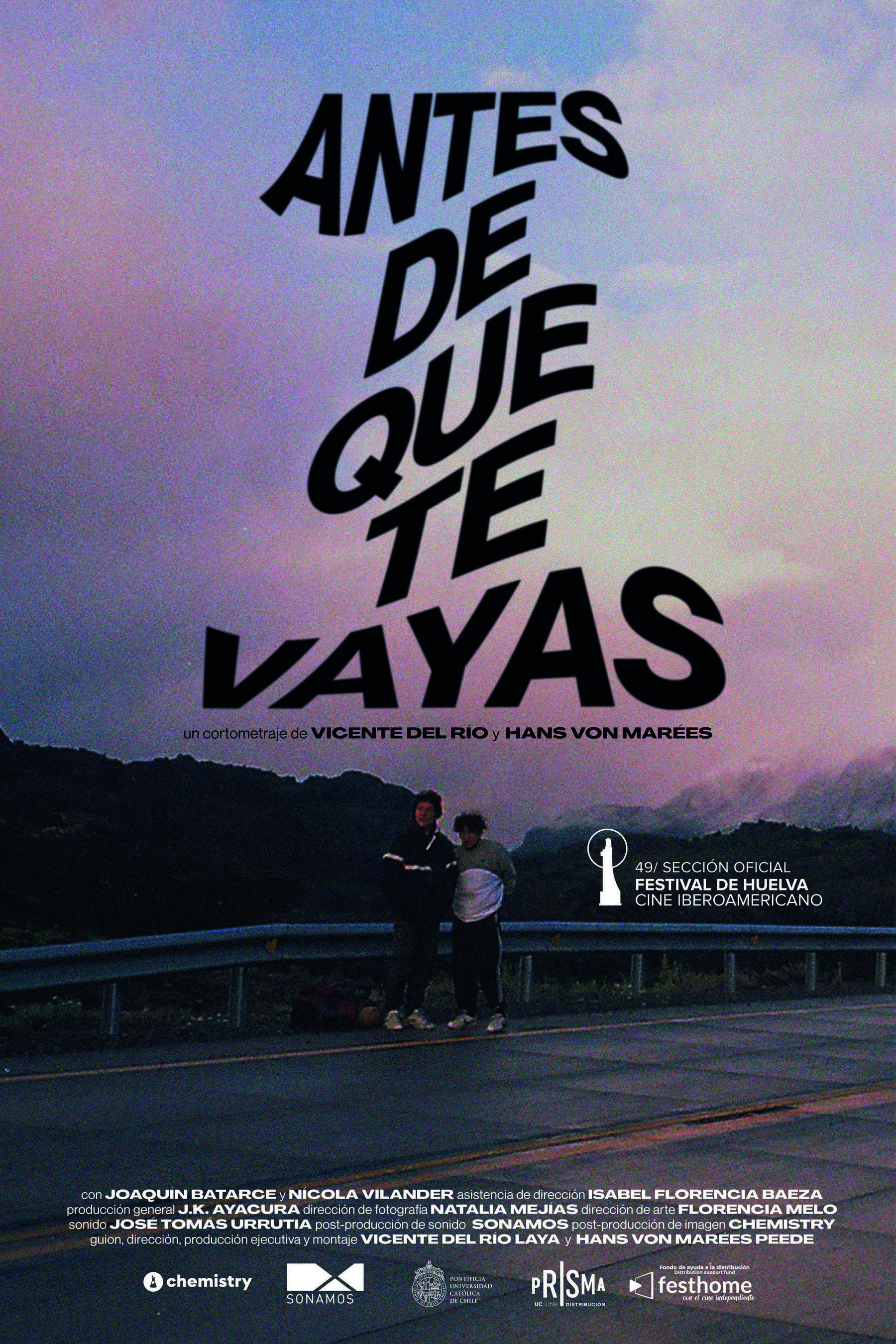 Antes de que te vayas