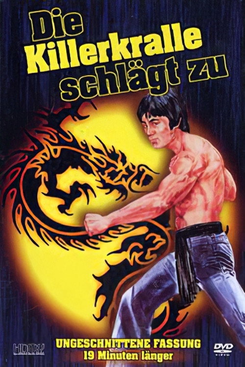 The Boxer's Adventure