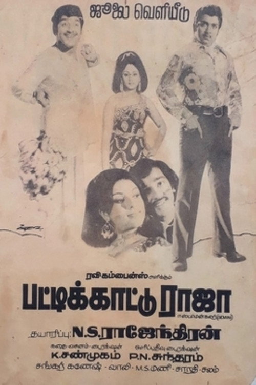 Pattikatu Raja