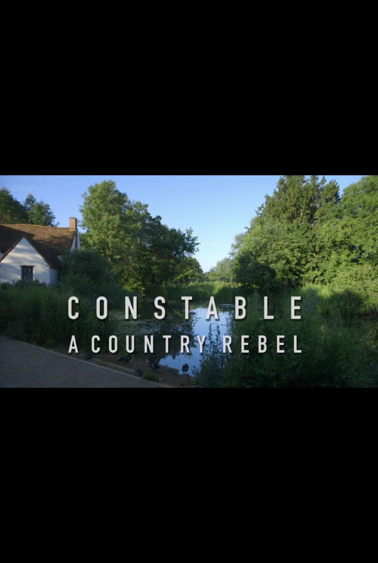 Constable: A Country Rebel