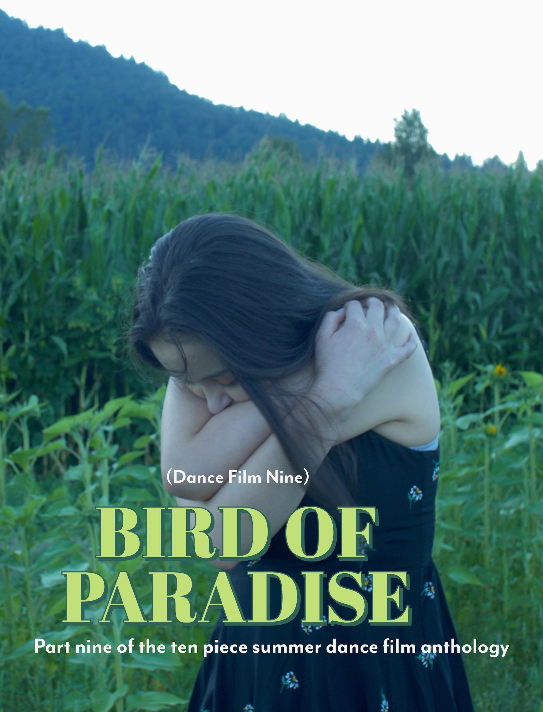 Bird of Paradise