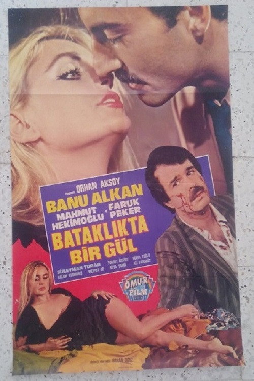 Bataklikta Bir Gül