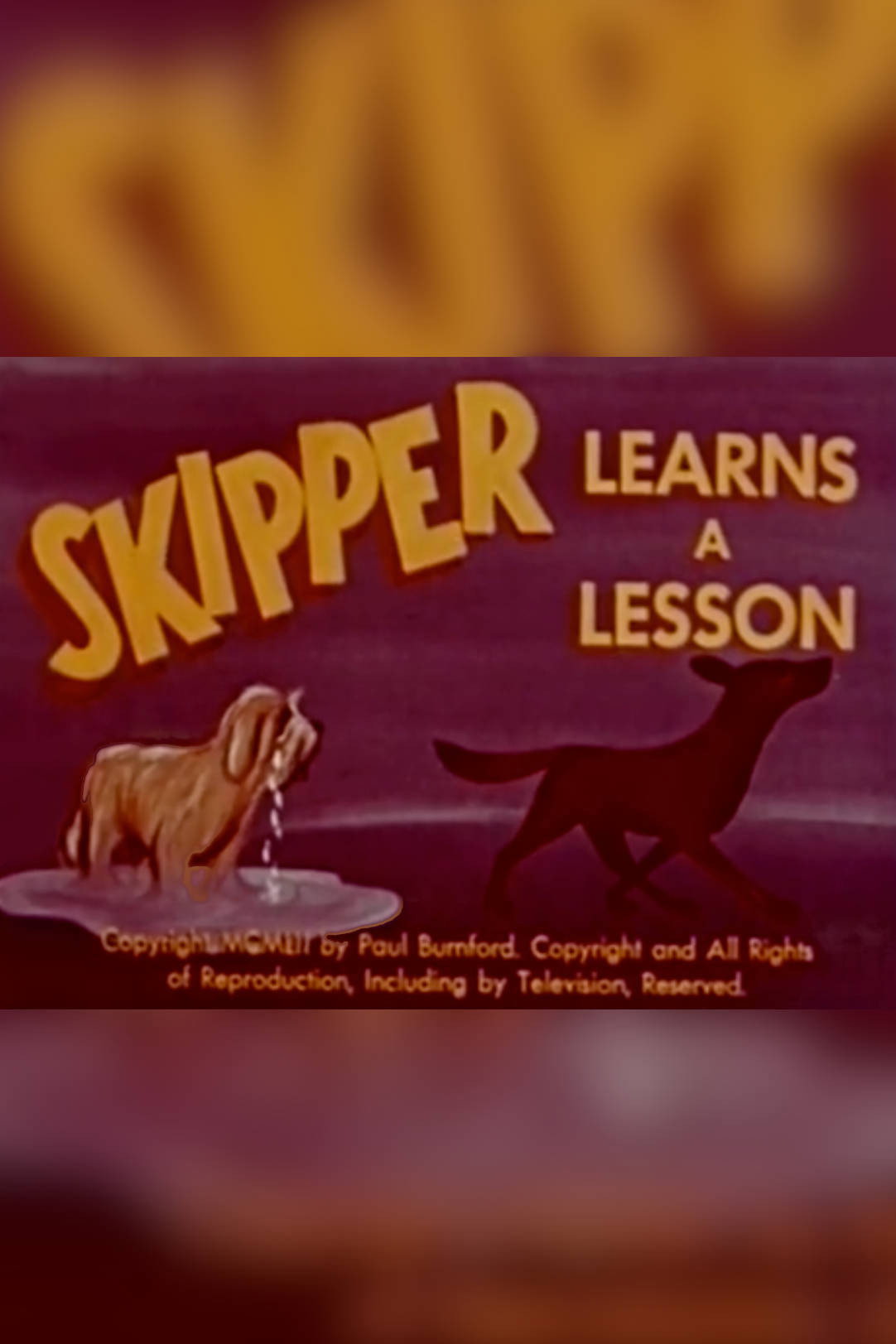Skipper Learns a Lesson