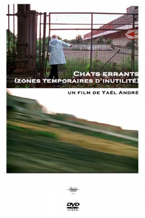Chats errants