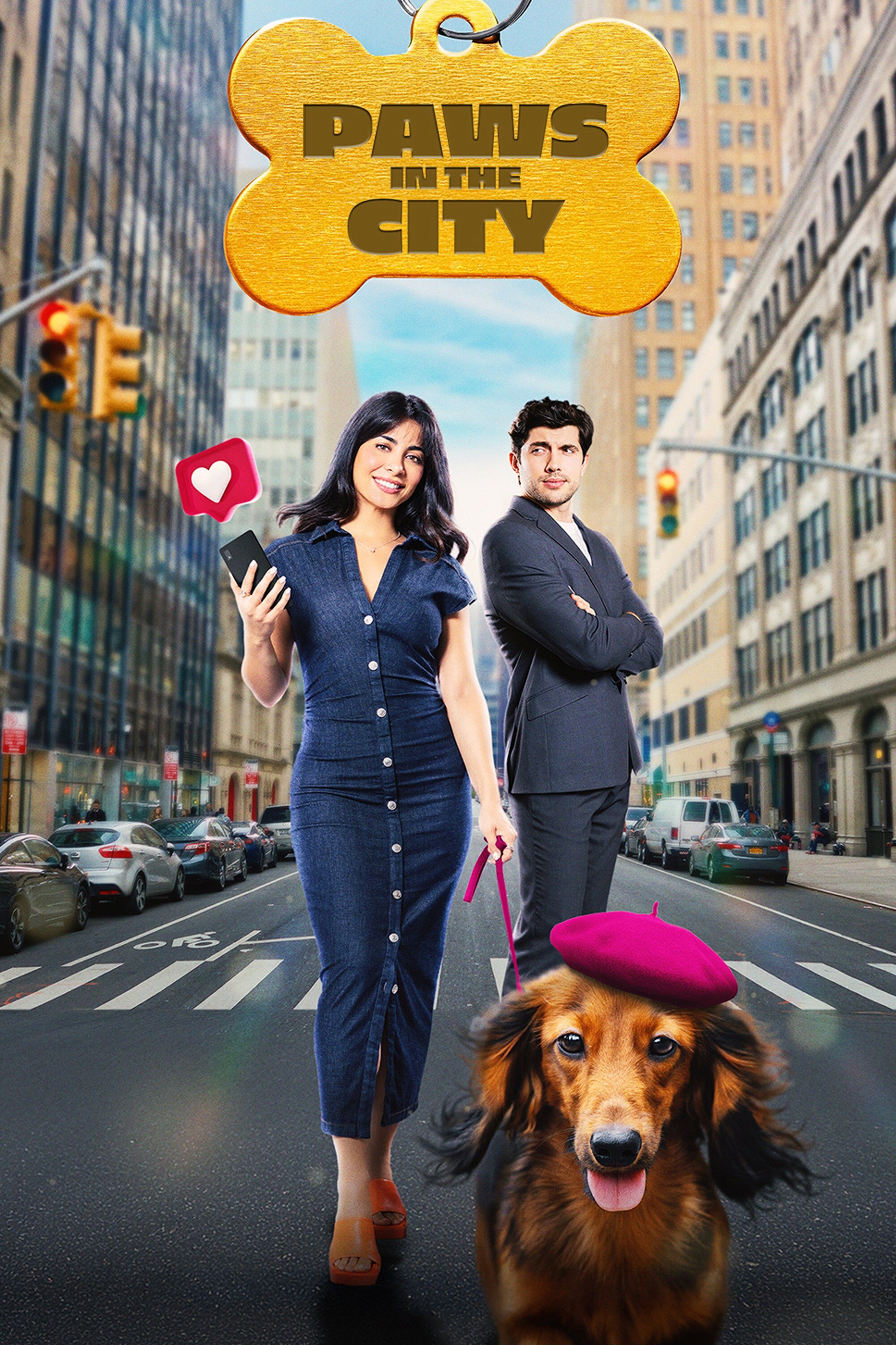 Paws in the City