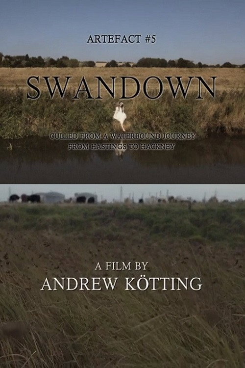 Artefact #5 Swandown