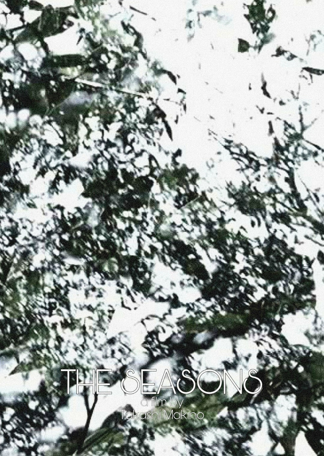 The Seasons