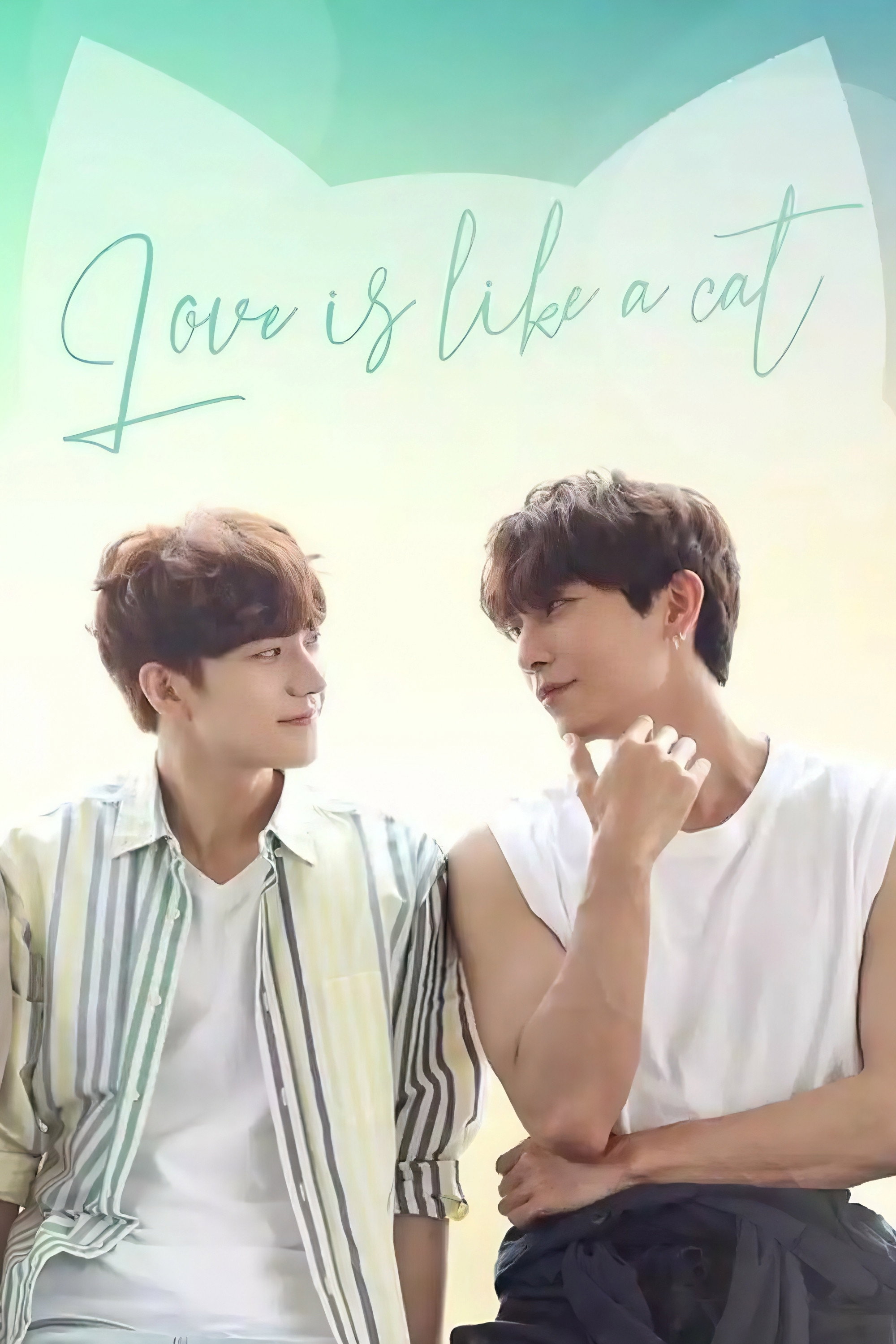 Love Is Like a Cat