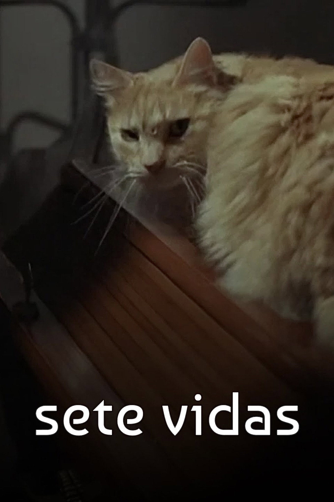 Sete Vidas