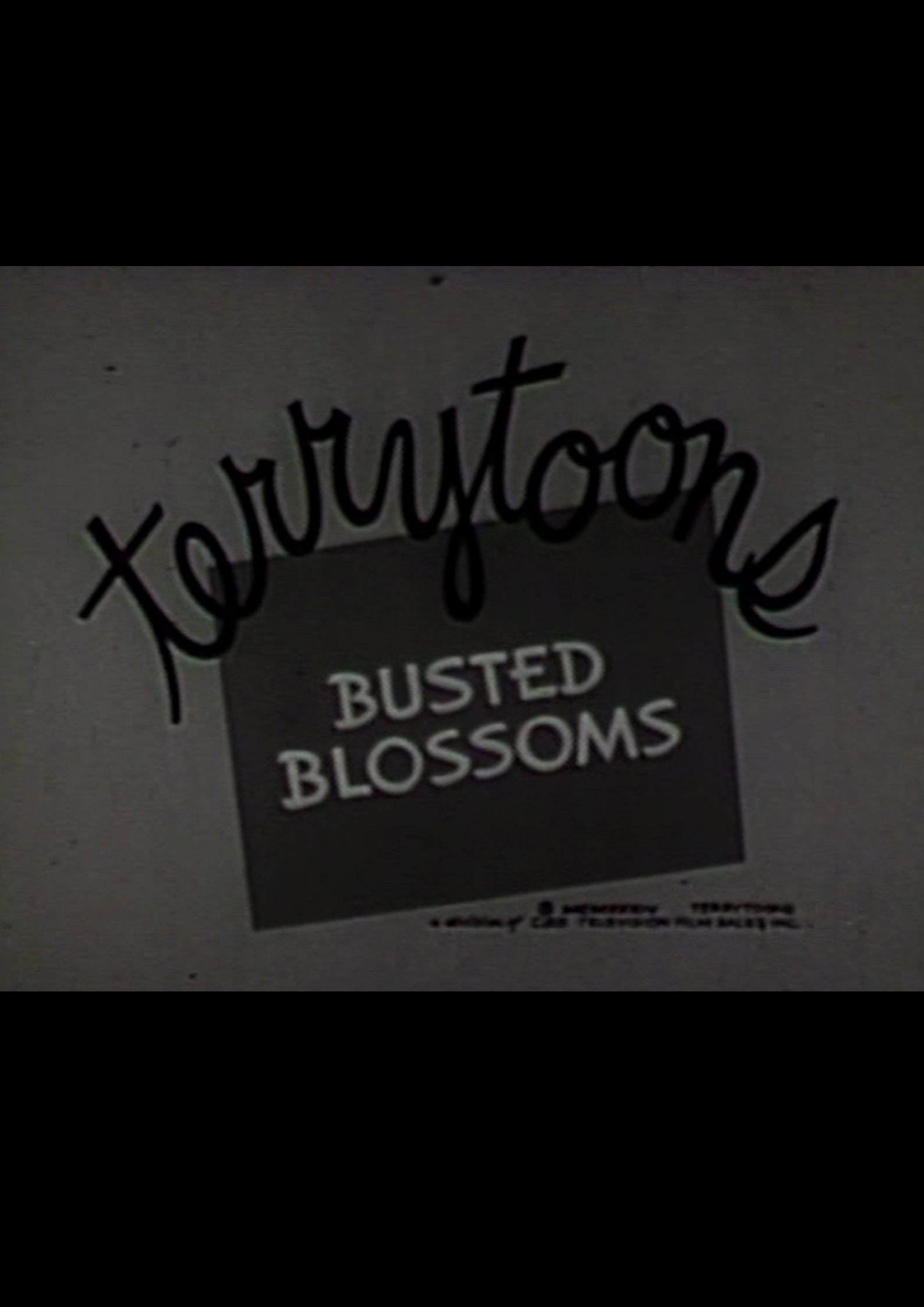 Busted Blossoms