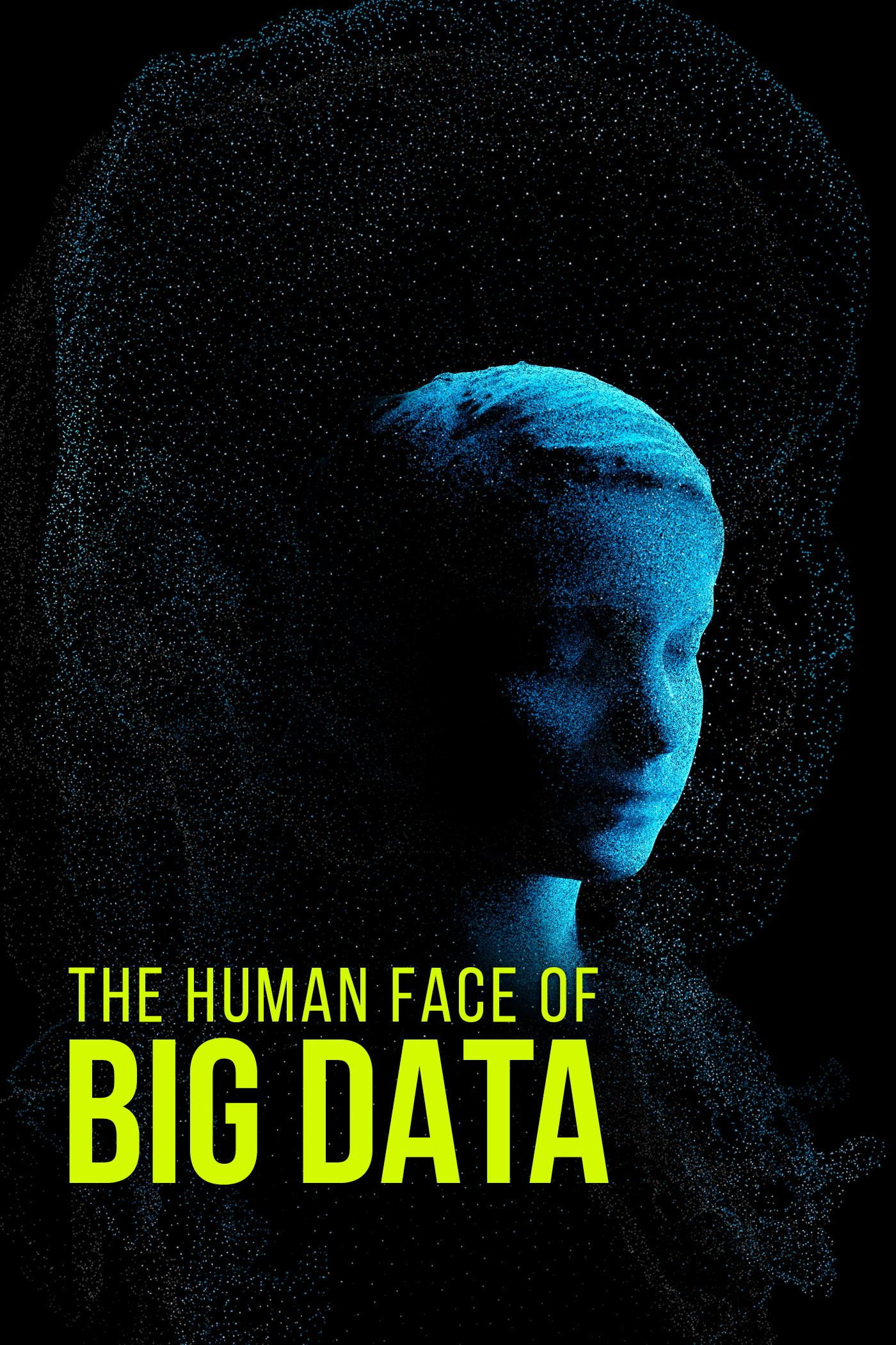 Insights on the Human Face of Big Data