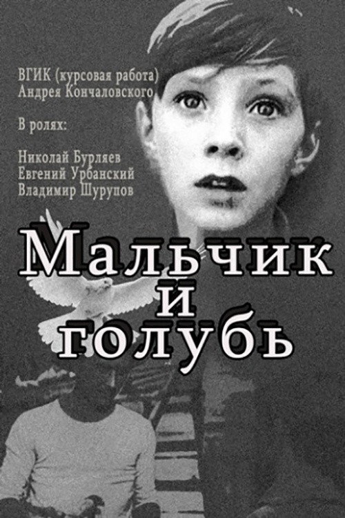 Malchik i golub