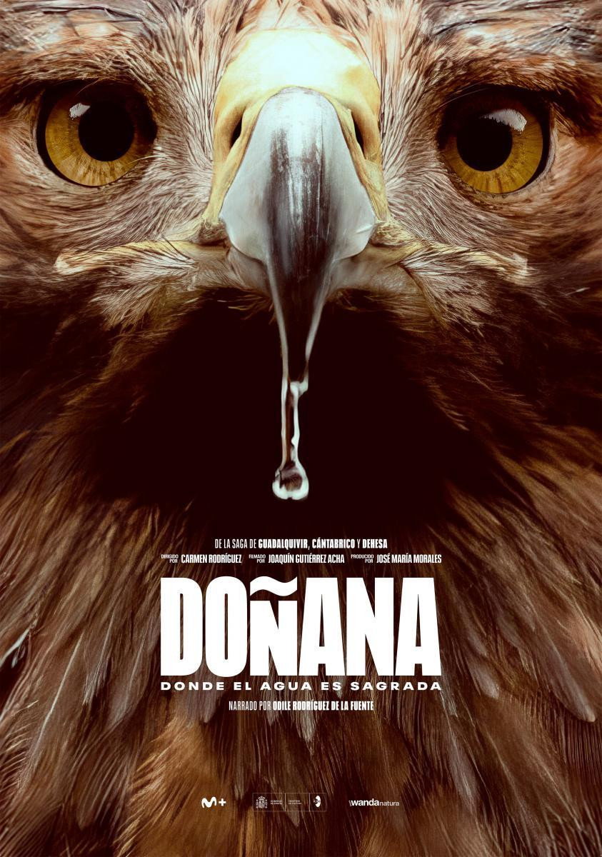 Doñana: Donde el agua es sagrada