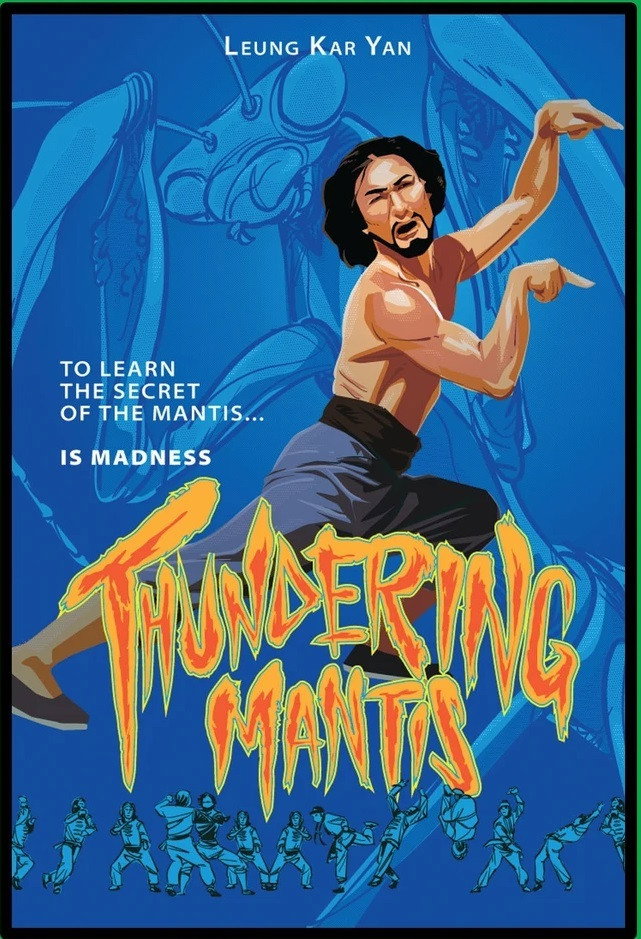 Mantis Fist Fighter