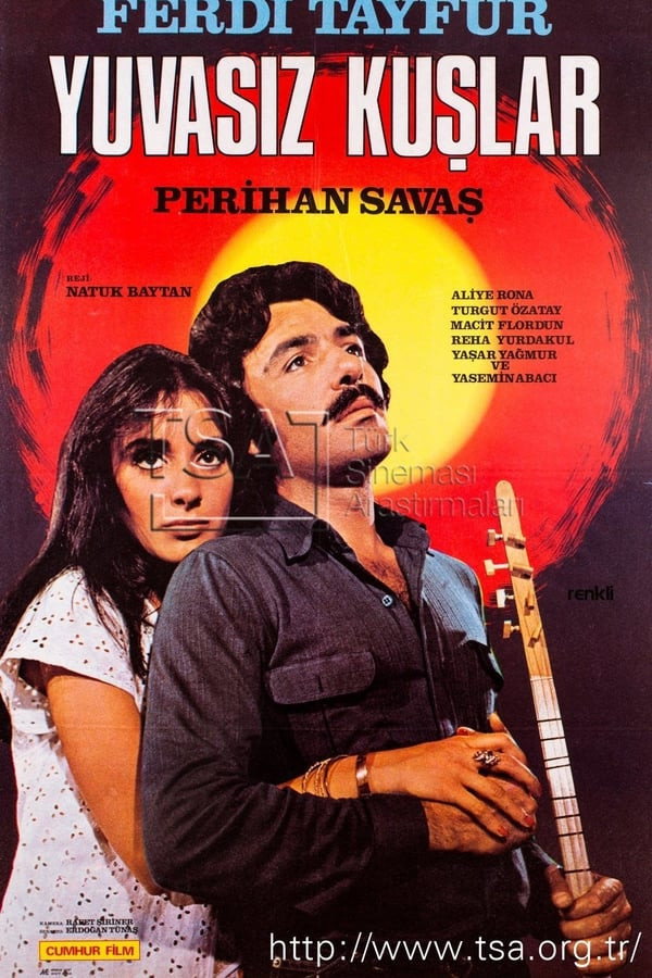 Yuvasiz Kuslar