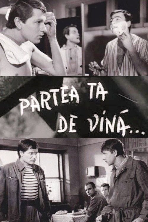Partea ta de vina