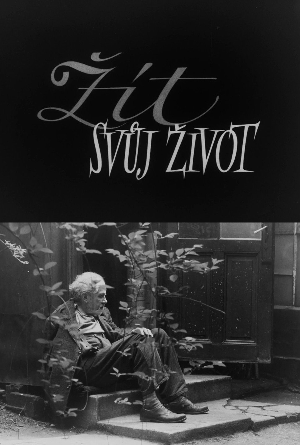 Zít svuj zivot