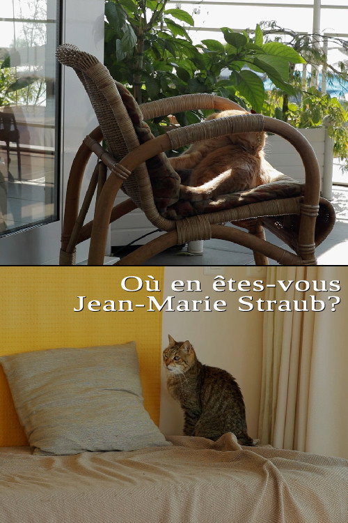 Où en êtes-vous: Jean-Marie Straub?