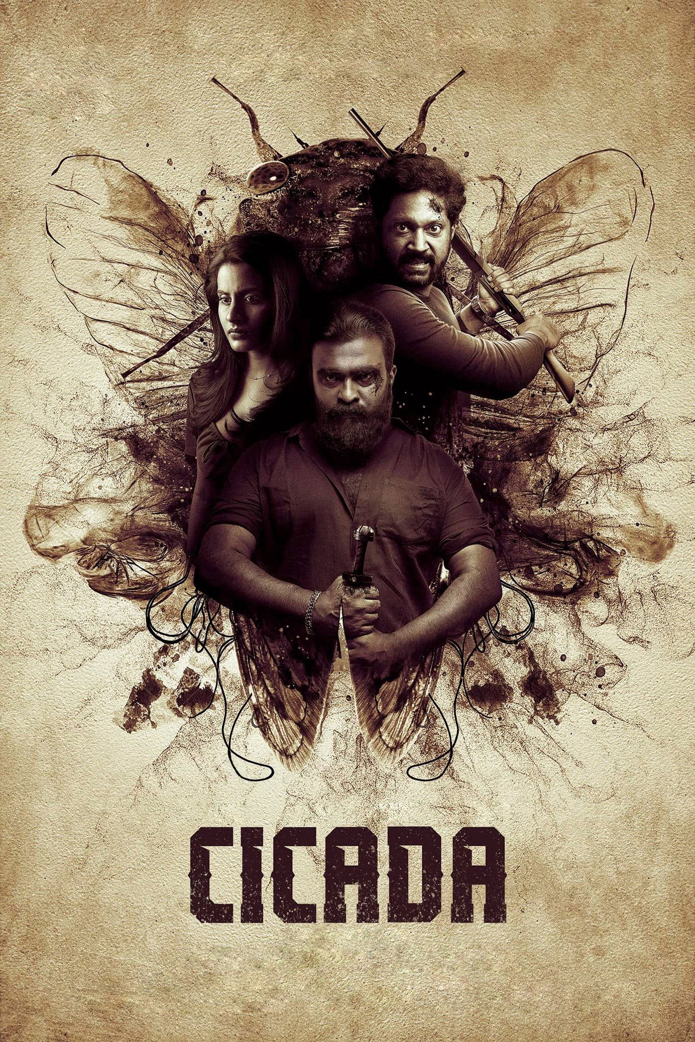 Cicada