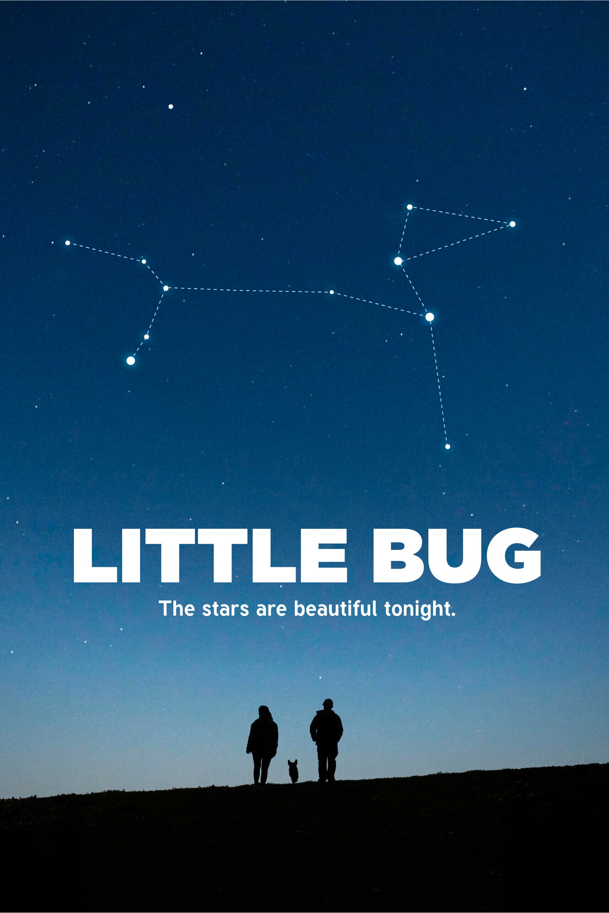 Little Bug
