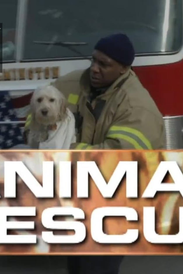 Animal Rescue with Alex Paen
