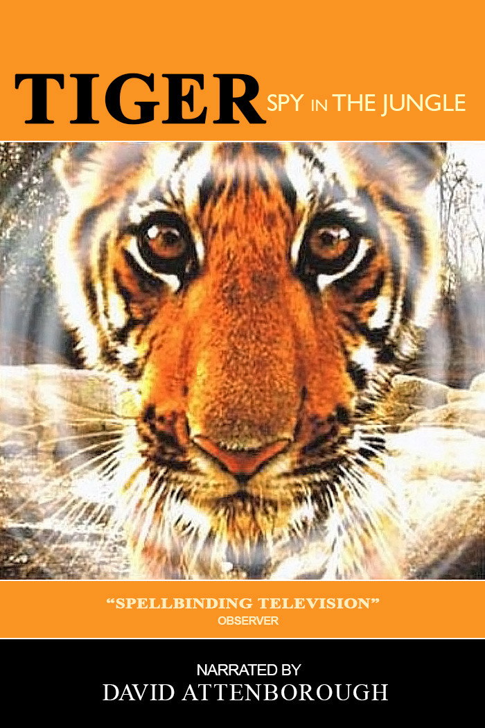Tiger: Spy in the Jungle