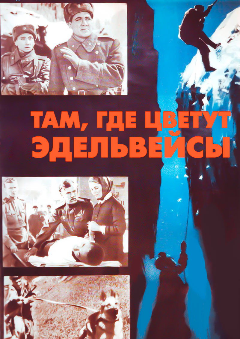 Tam, gde tsvetut edelveysy