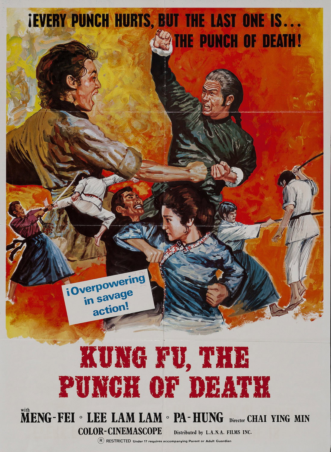 Kung Fu: The Punch of Death