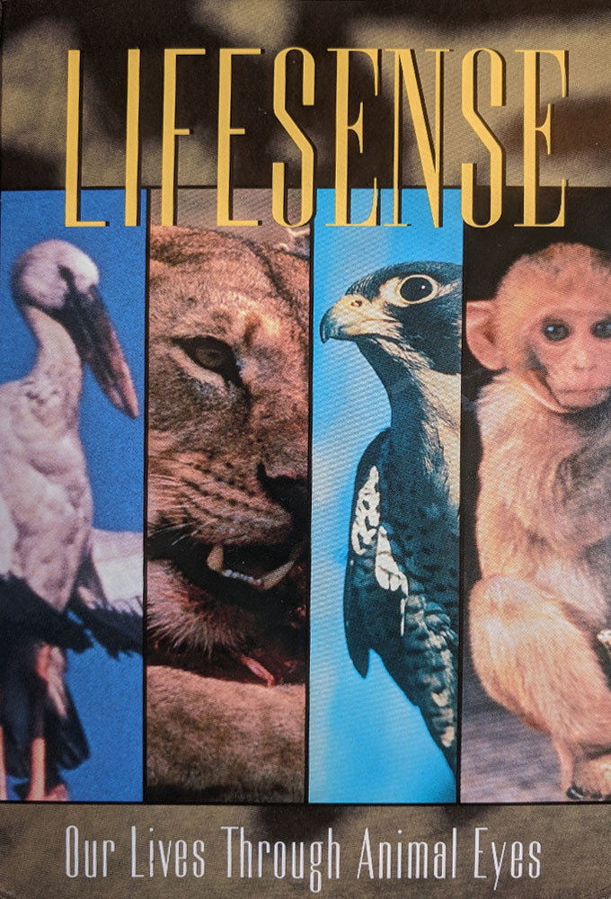 Lifesense: Our Lives Through Animal Eyes