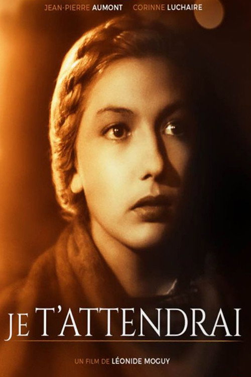 Je t'attendrai