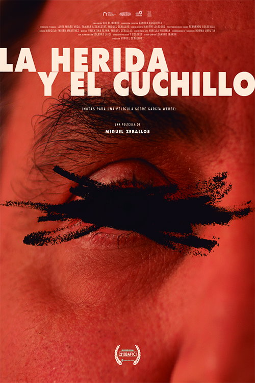 The Wound and Knife (Notes for a Film About Emilio García Wehbi)