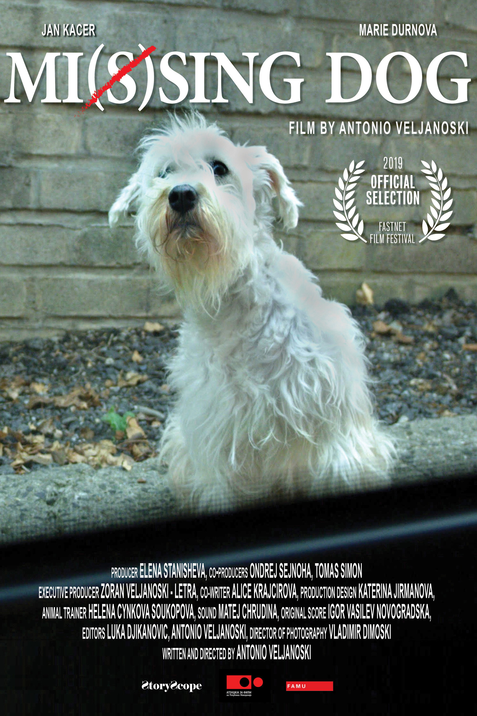 Mi(s)sing dog