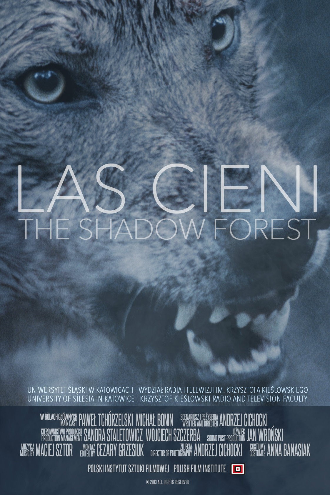 The Shadow Forest