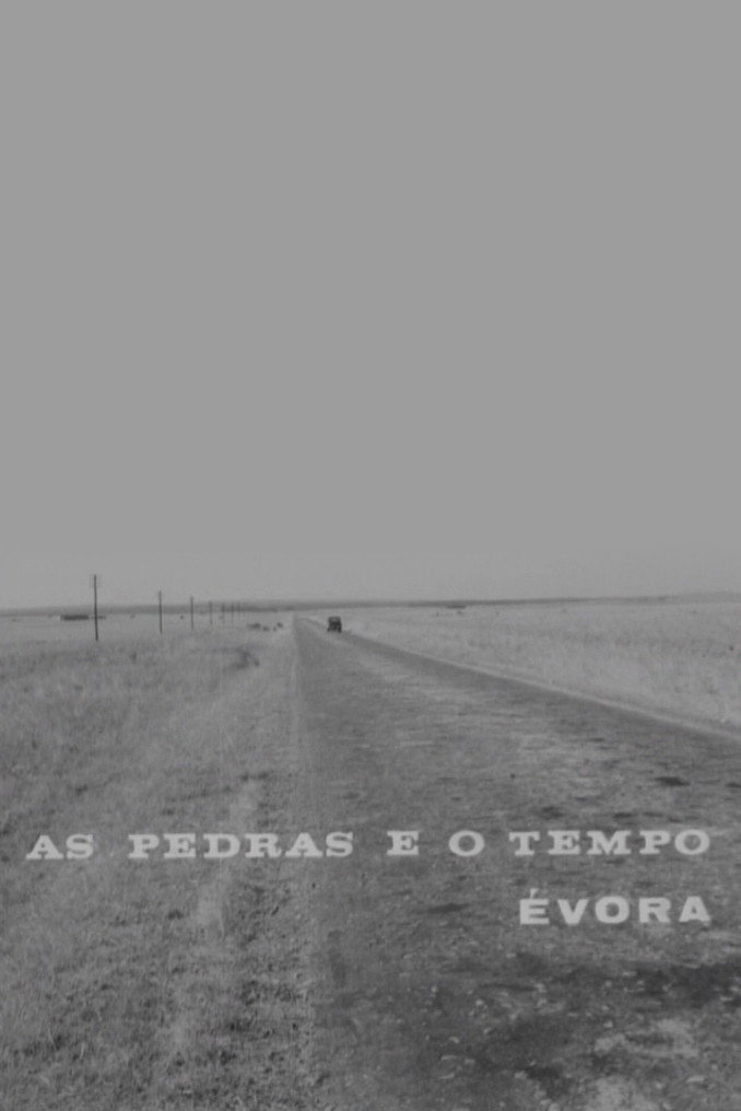 As Pedras e o Tempo