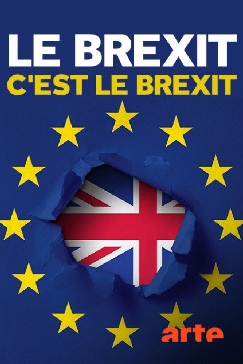 Brexit Means Brexit: The Unofficial Version