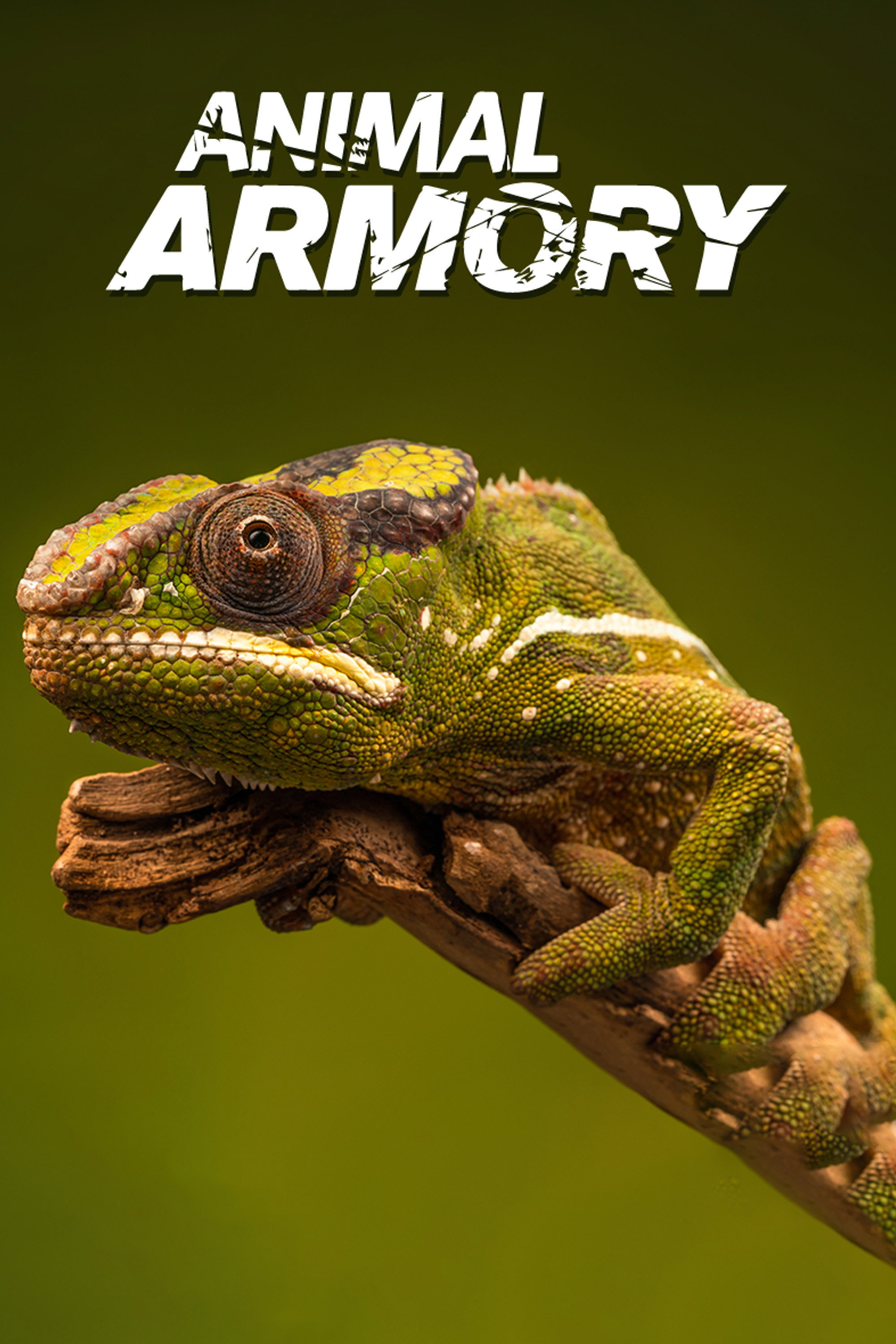 Animal Armory