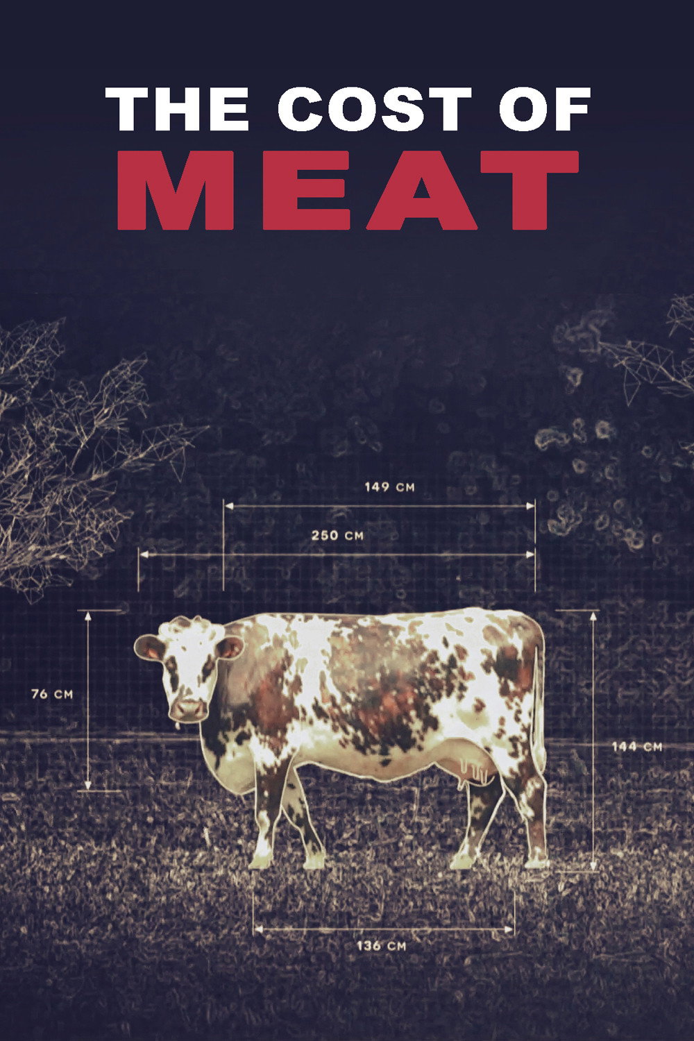 The Cost of Meat