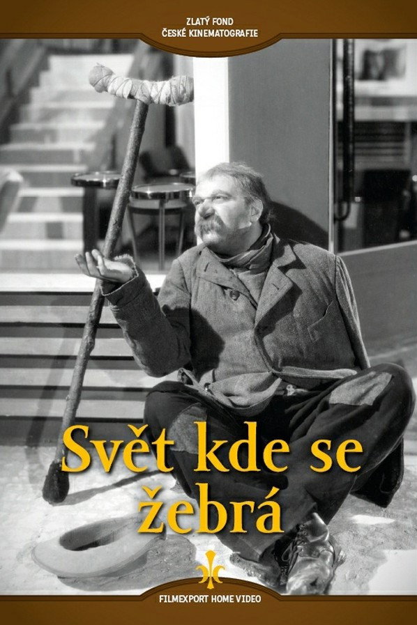 Svet kde se zebrá