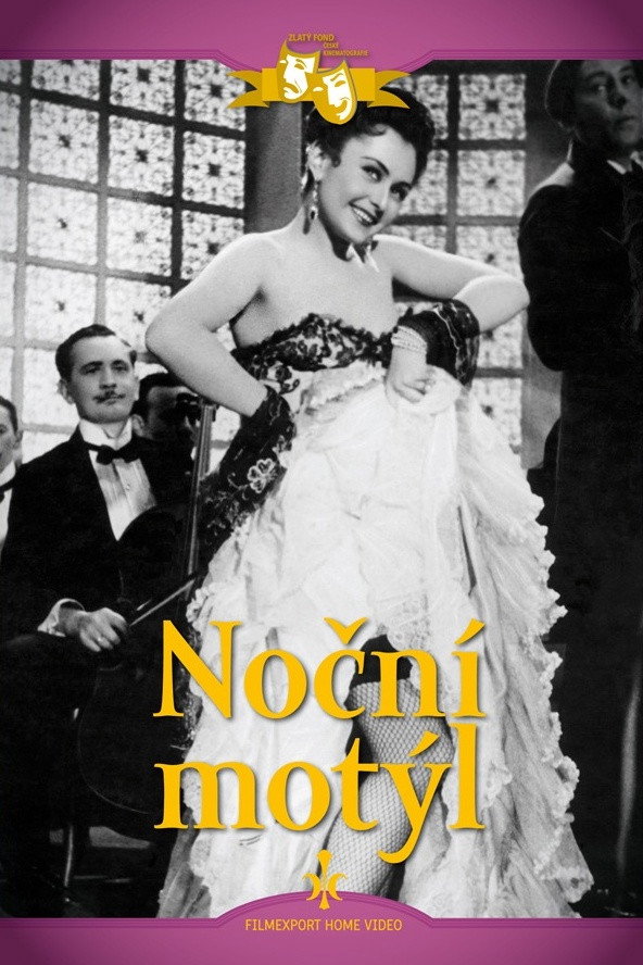Nocní motýl
